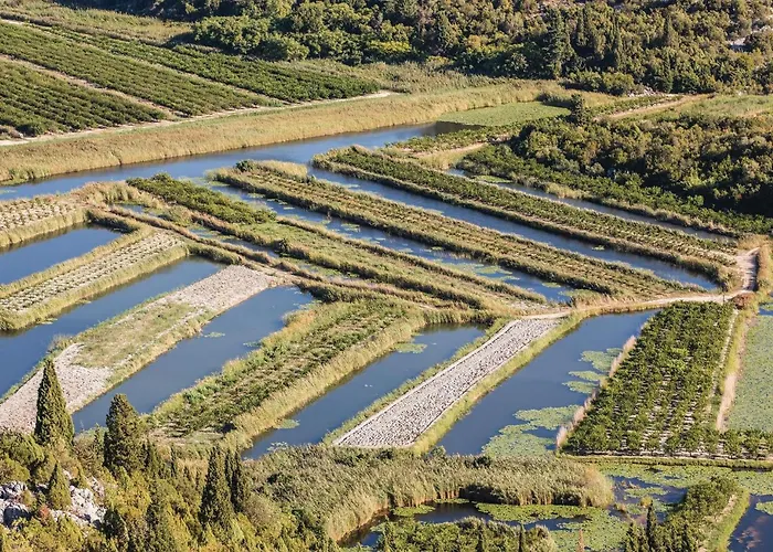 Two-bedroom In 公寓 *